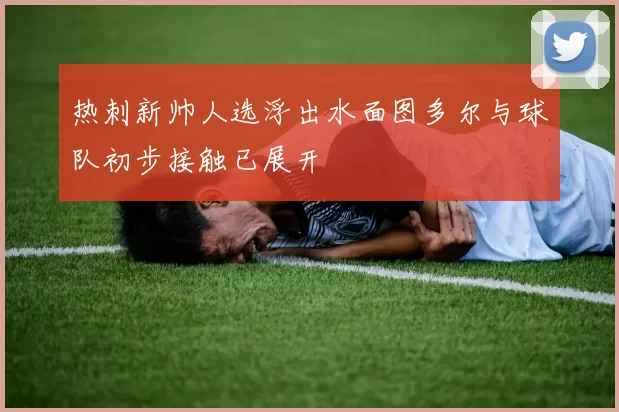 热刺新帅人选浮出水面图多尔与球队初步接触已展开
