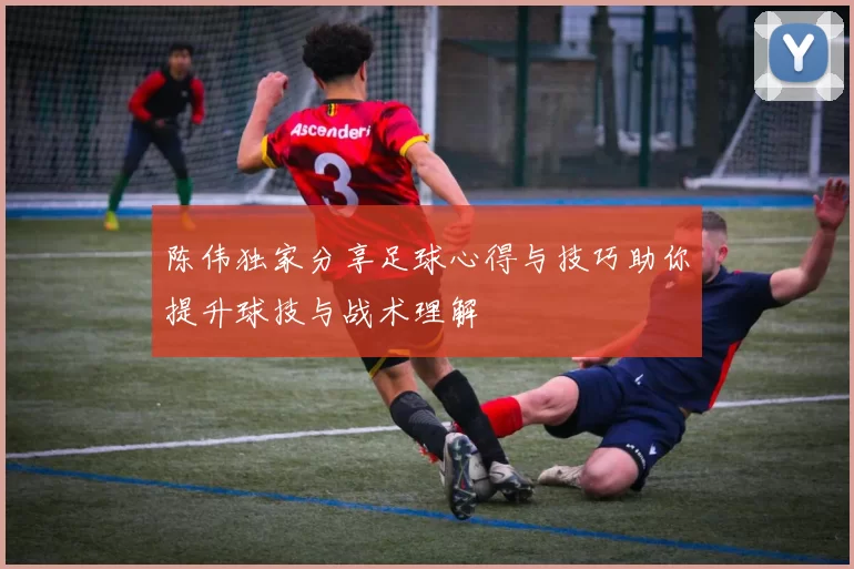 陈伟独家分享足球心得与技巧助你提升球技与战术理解