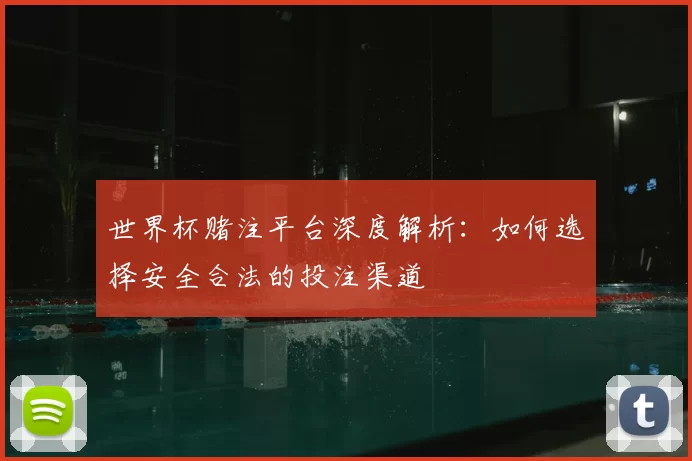 世界杯赌注平台深度解析：如何选择安全合法的投注渠道