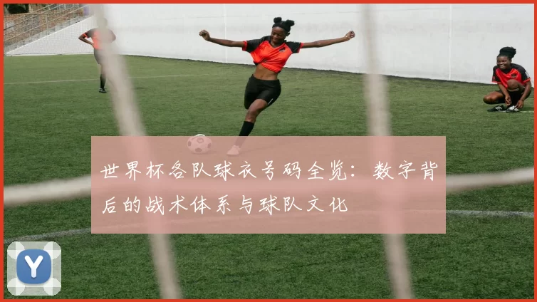 世界杯各队球衣号码全览：数字背后的战术体系与球队文化
