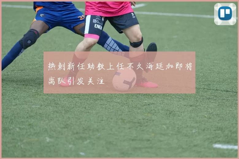 热刺新任助教上任不久海廷加即将离队引发关注
