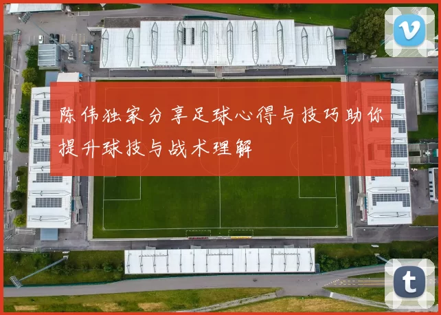 陈伟独家分享足球心得与技巧助你提升球技与战术理解