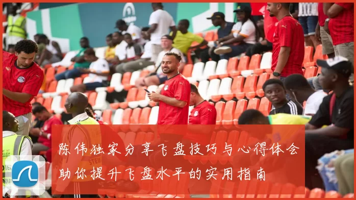 陈伟独家分享飞盘技巧与心得体会助你提升飞盘水平的实用指南