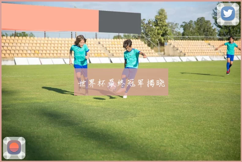 世界杯最终冠军揭晓