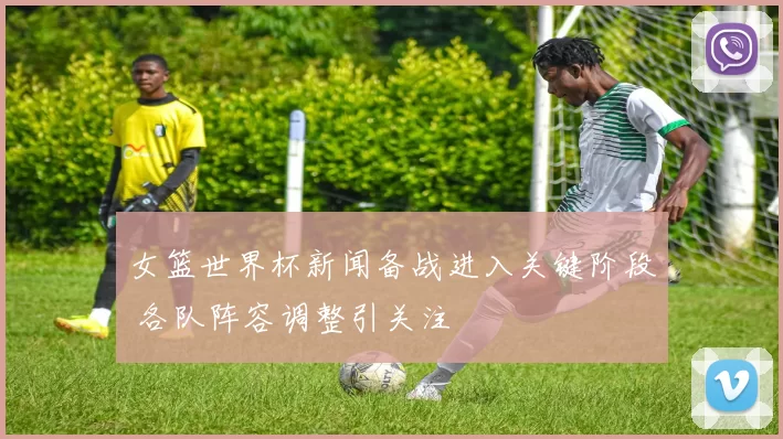 女篮世界杯新闻备战进入关键阶段 各队阵容调整引关注